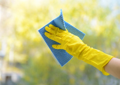 Cleaning supplies and stain removal tools on a tabletop