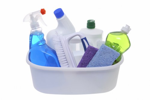 Professional upholstery cleaning for a living room sofa