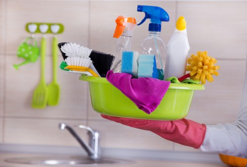 Natural cleaning supplies for removing pet odours