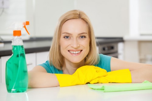 Enzyme cleaner being used on a pet accident stain