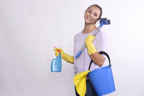 Deep carpet cleaning process in progress on a residential carpet