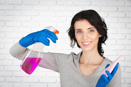 Professional pet stain odour removal on a carpet
